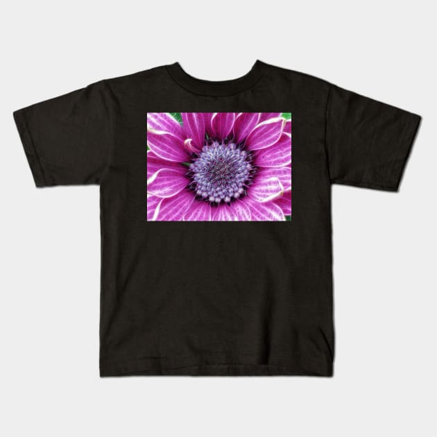 brightly coloured glowing purple and pink striped gazania Kids T-Shirt by mister-john